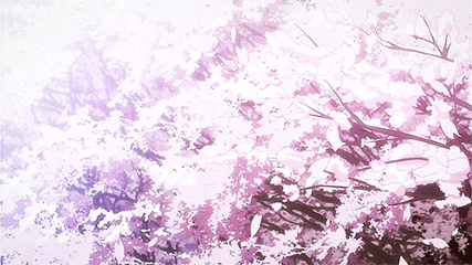 樱花树动态壁纸图片