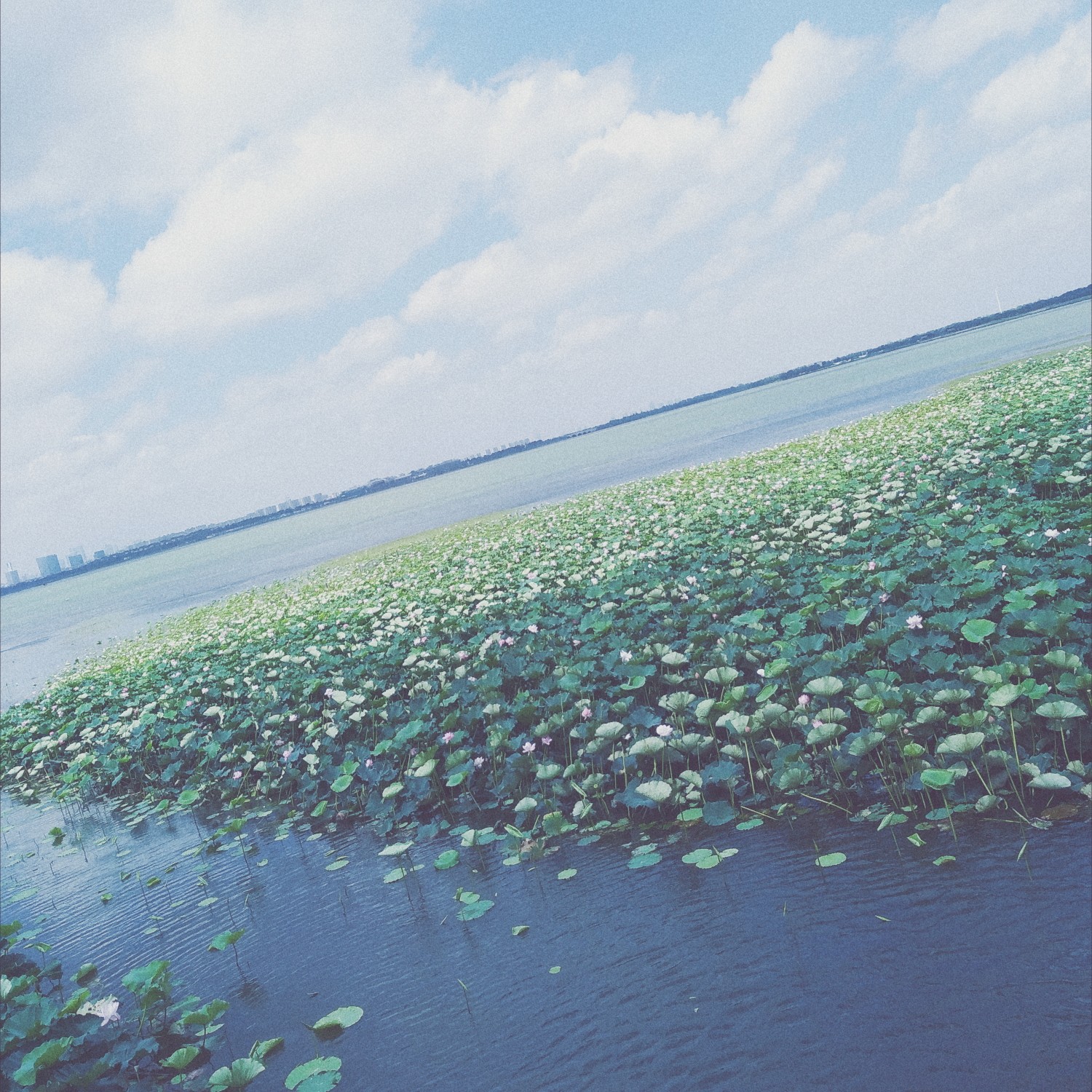 日常风景