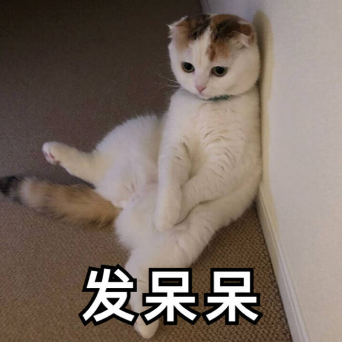 无系列单图战斗力爆喜欢情,老规矩有表表可爱的表情包老上线了您的图片