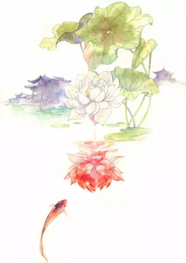 古风#景#花卉#涟漪水è