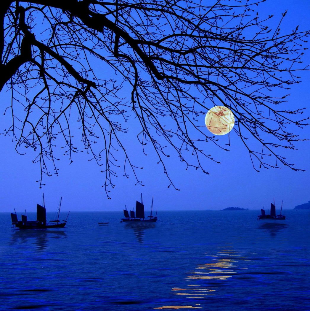 江上客帆行月中