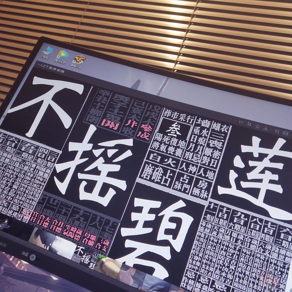 不摇碧莲