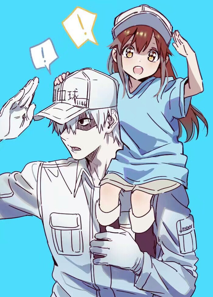 《工作细胞》血小板 红细胞 白细胞