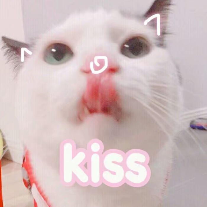表情包~木啊