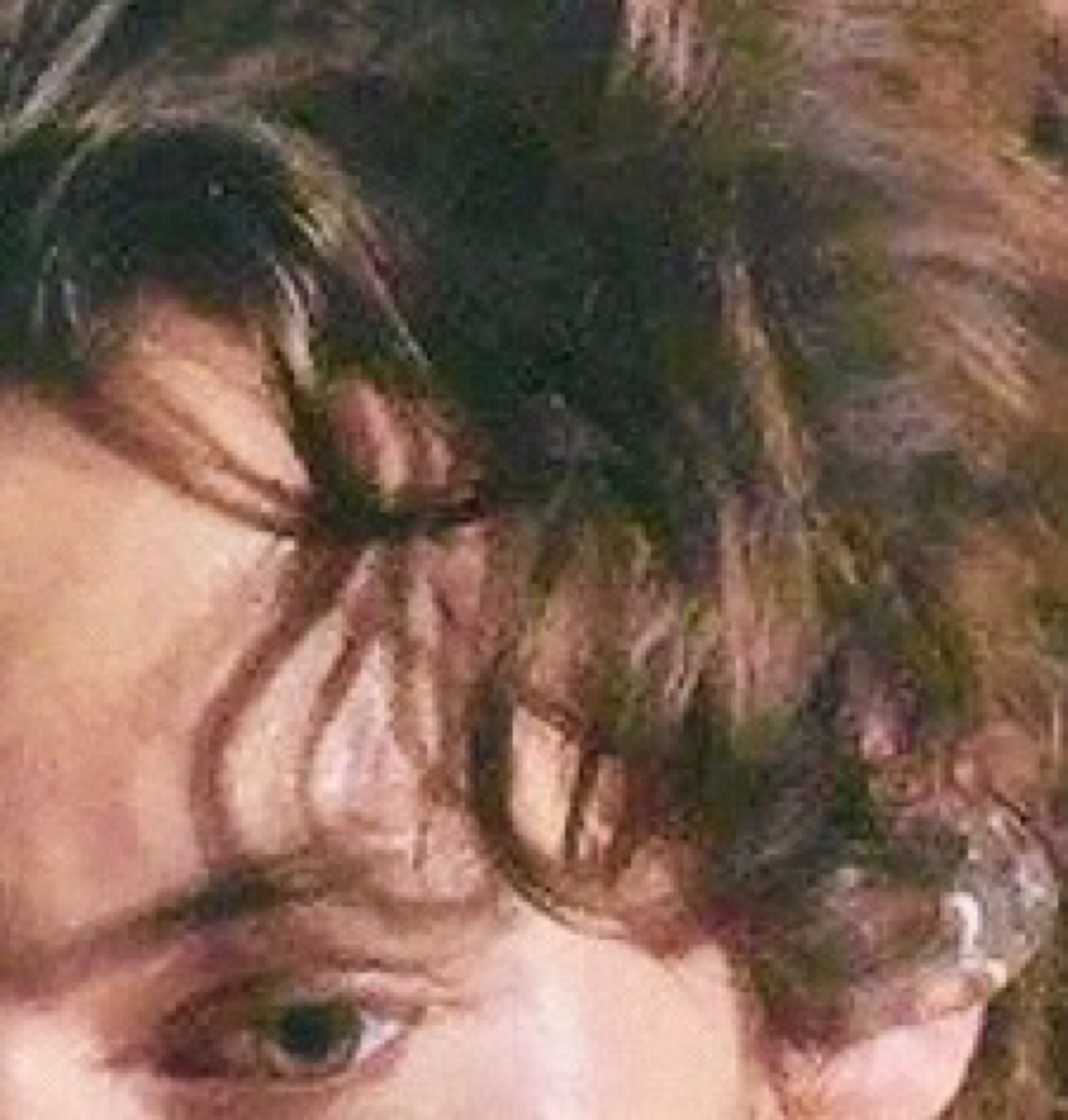 哈卷harrystyles