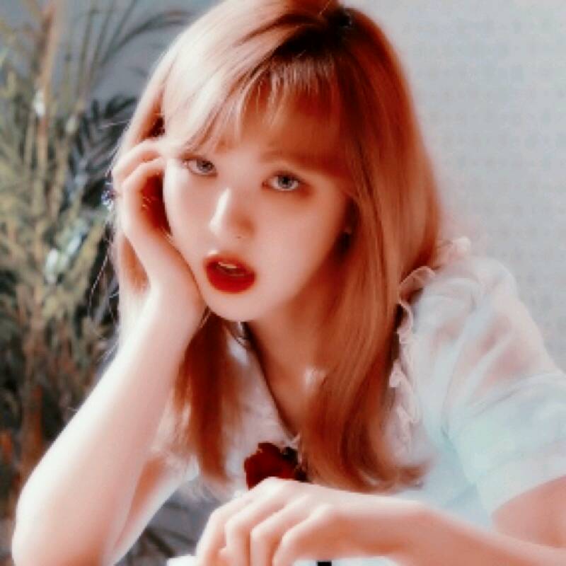 爱豆头像 ≮孙承欢wendy/孙胜完≯