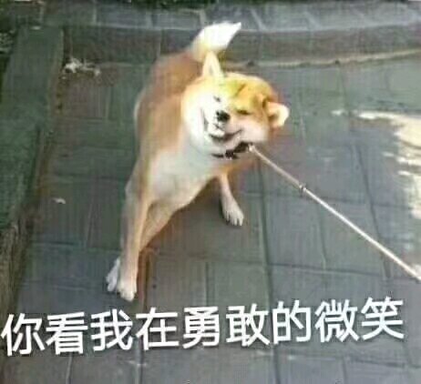 今日份表情表情fgo阿比盖尔沙雕包图片