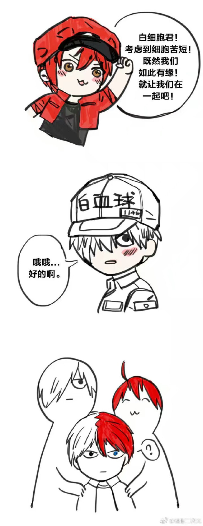 白细胞 血小板 红细胞.