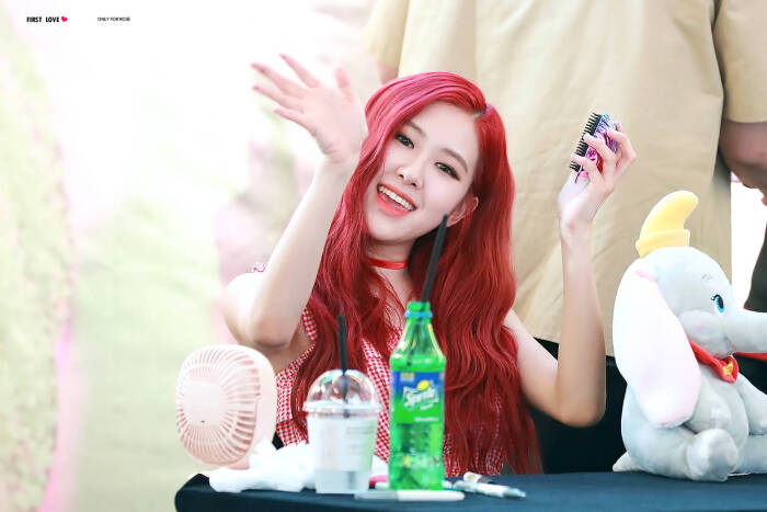 朴彩英 ros blackpink成员