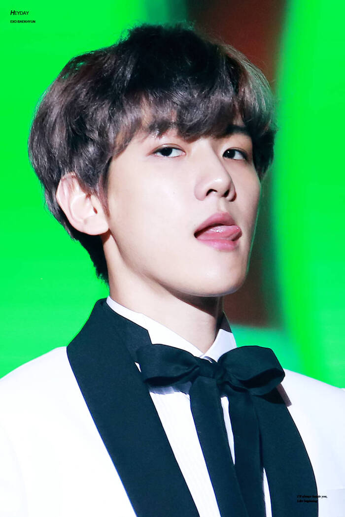 边伯贤 baekhyun exo成员