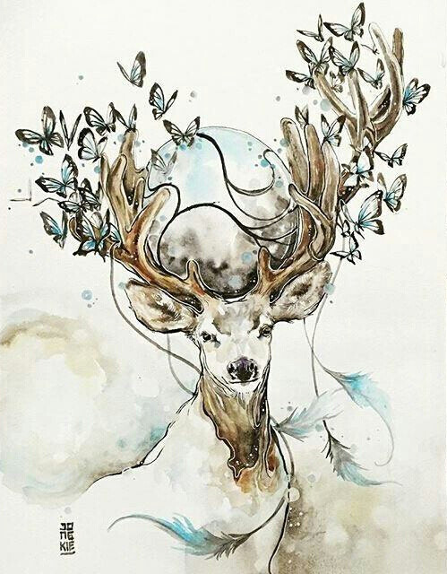 jongkie:手绘水彩动物插画
