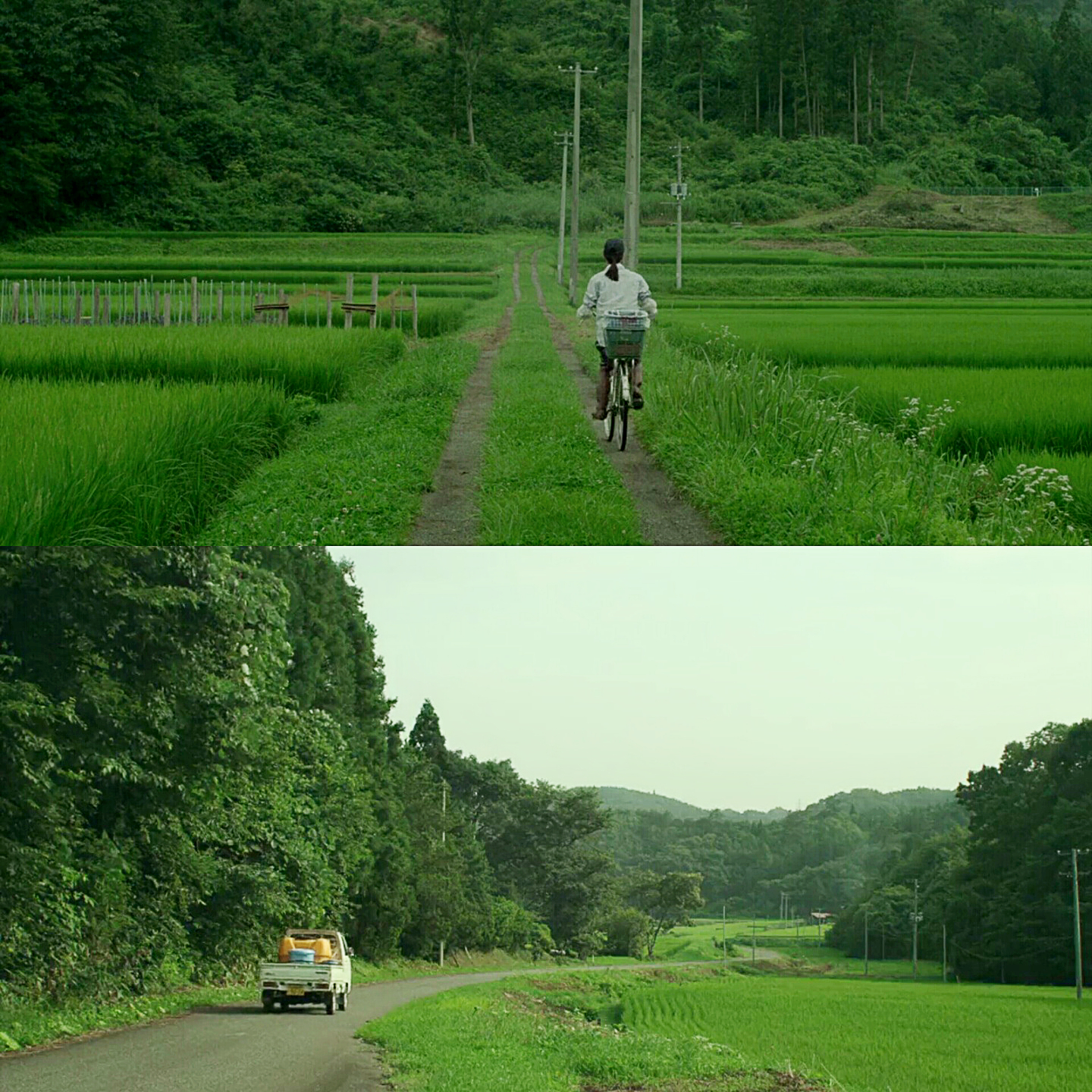 小森林-堆糖,美好生活研究所