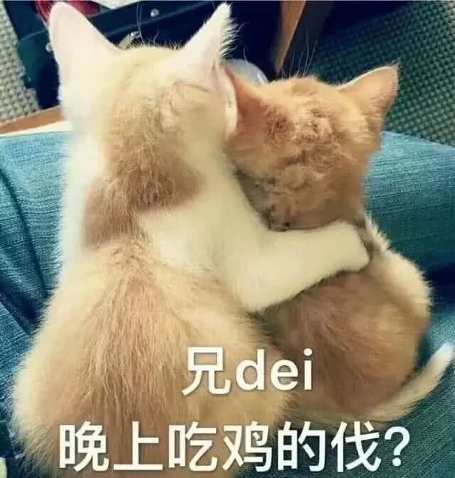 表情仙女谢谢你小表情动态不定时v表情爱你们哟图片