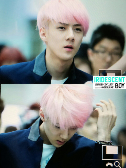exo 奶包 sehun 吴世勋#壁纸#头像
