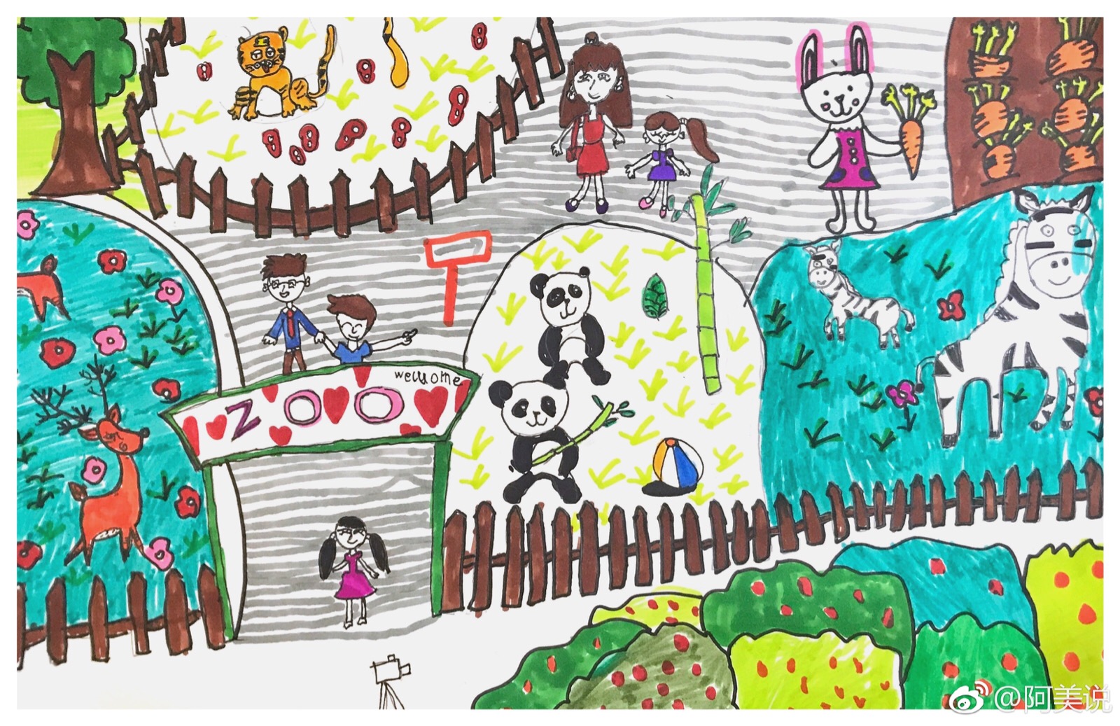 上海野生动物园儿童画图片