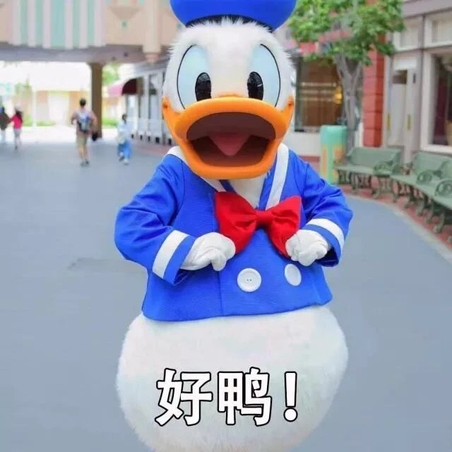*可爱的表情包鸭(˙˙)