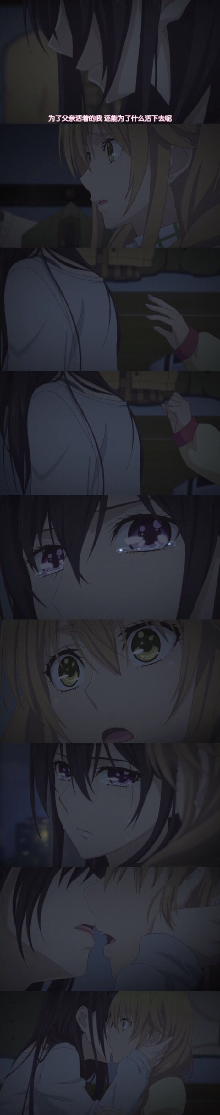 citrus 柑橘味香气 文字 自截