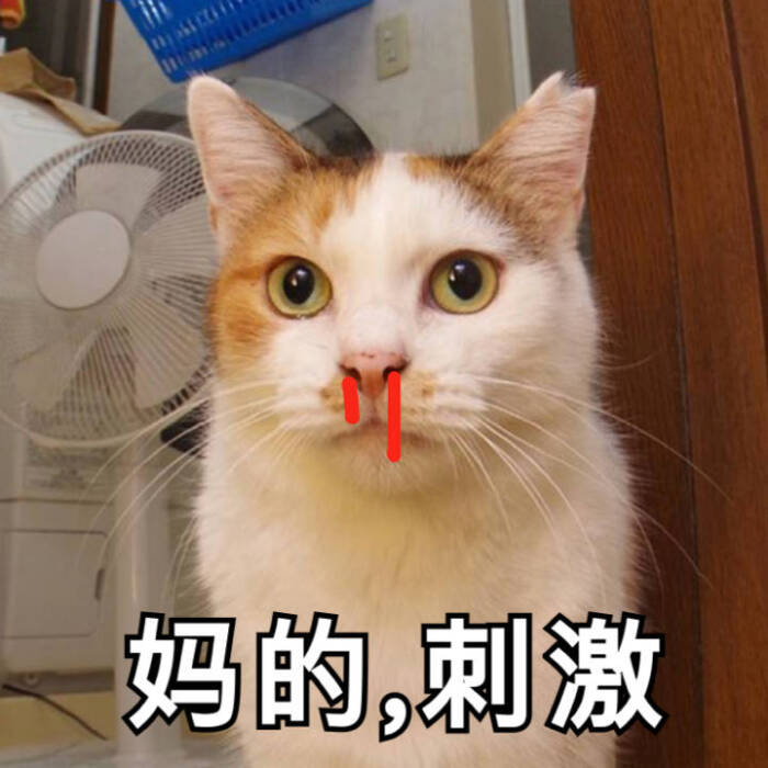 无系列单图战斗力爆喜欢情,老规矩有表表剑灵好玩不花钱表情包的图片