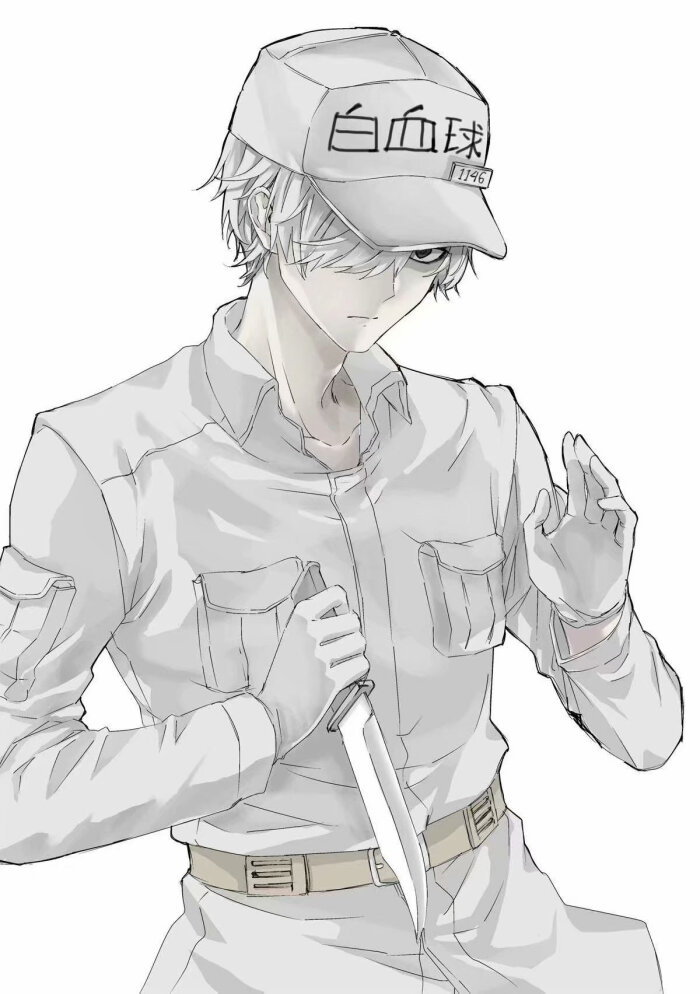 《工作细胞》1146#白血球