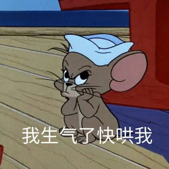 表情包 猫和老鼠