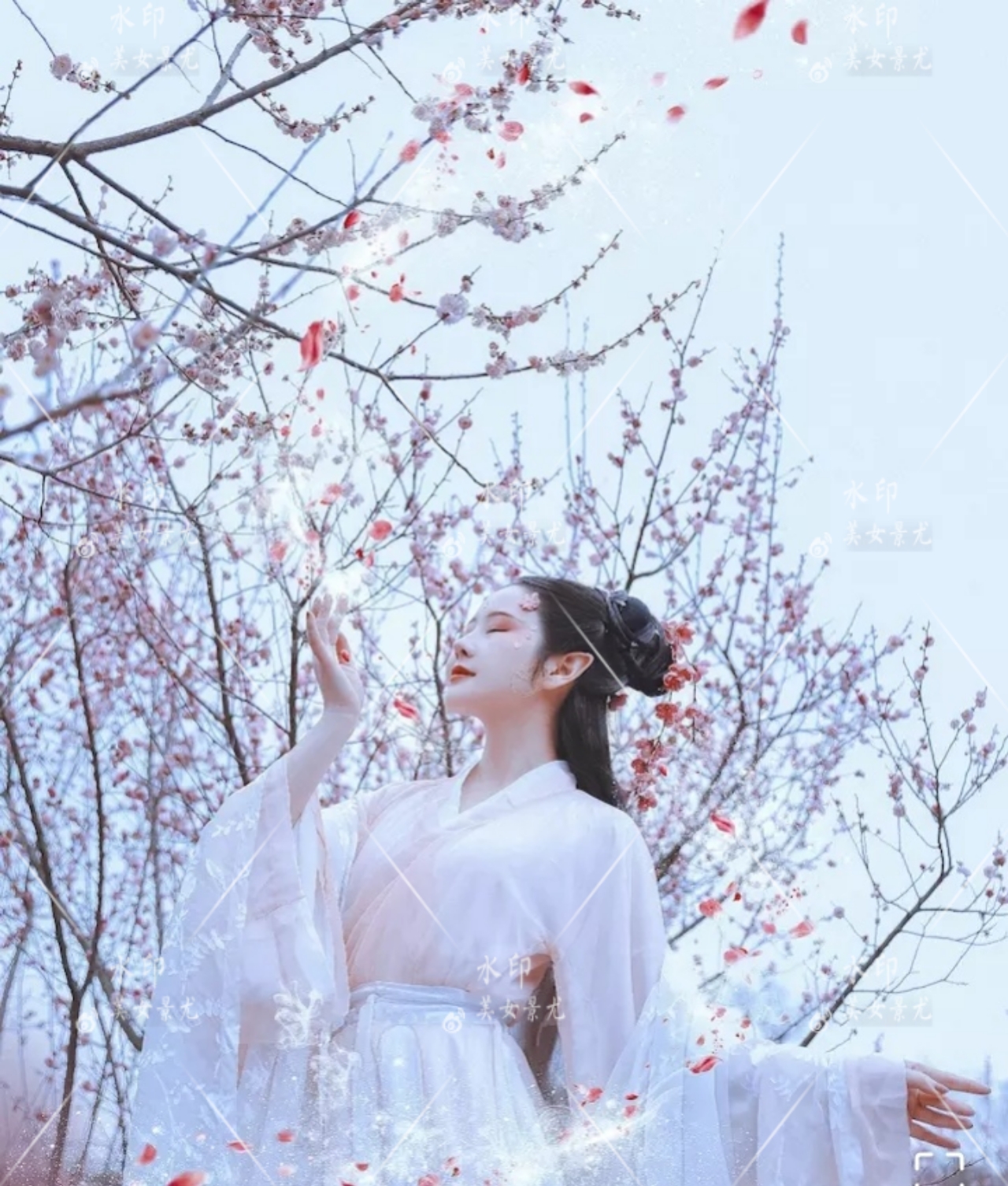 红袖添香,所谓伊人.