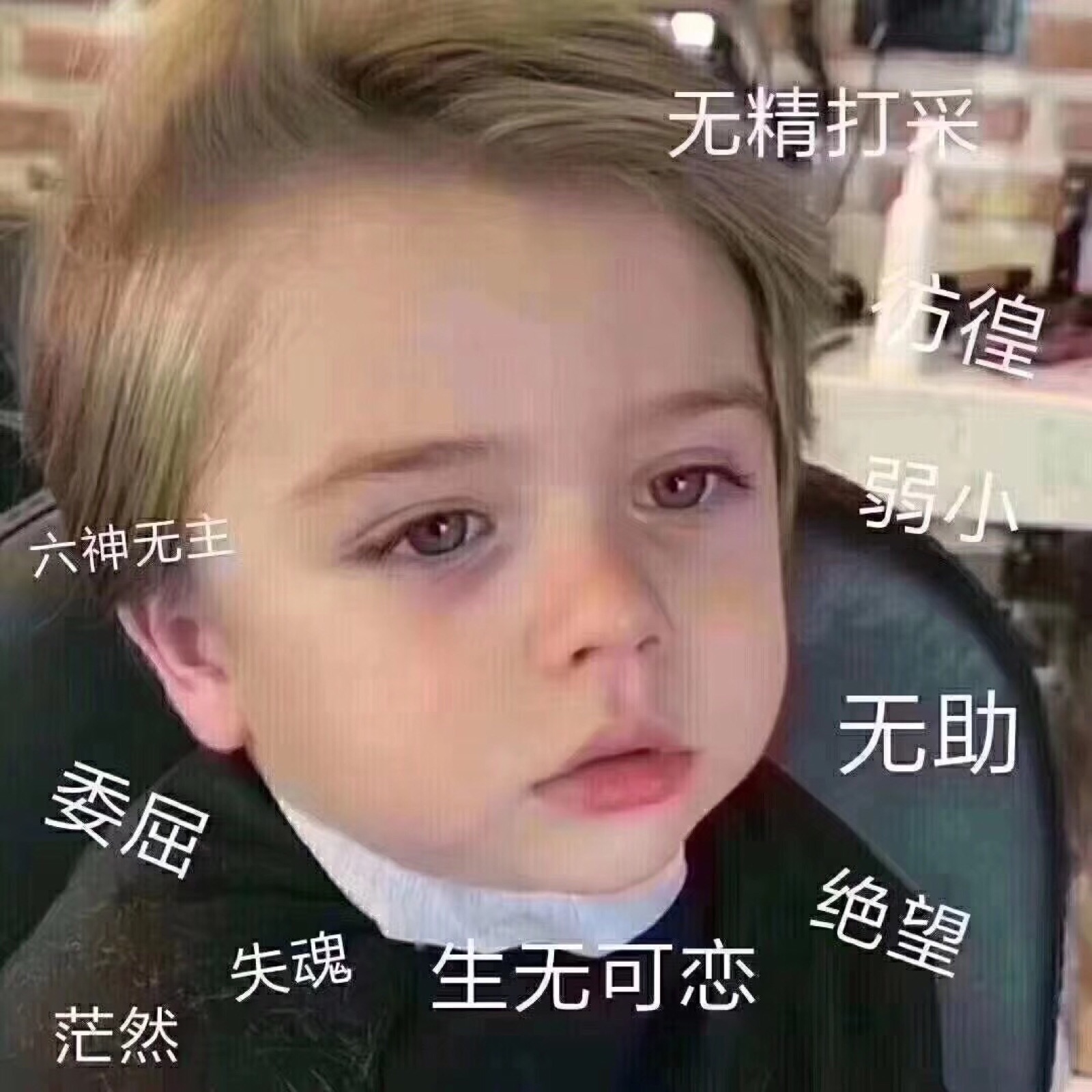 委屈,绝望,茫然,弱小,无精打采,生无可恋