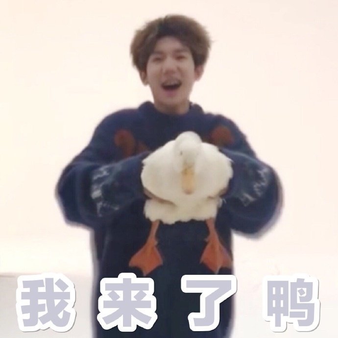 王源#表情包
