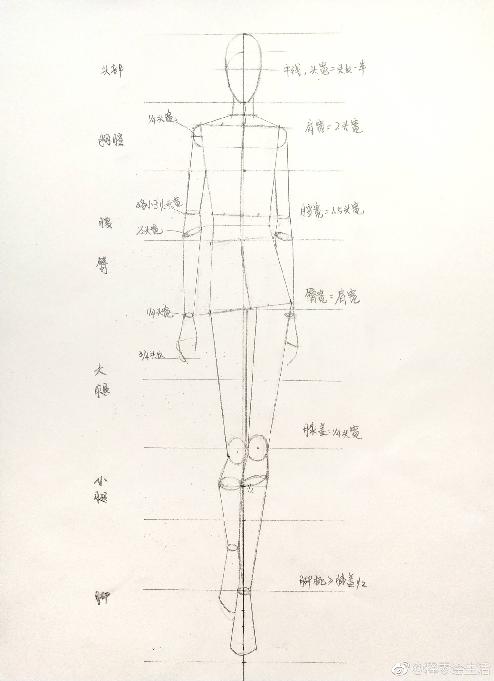 人体比例标准图 简单图片