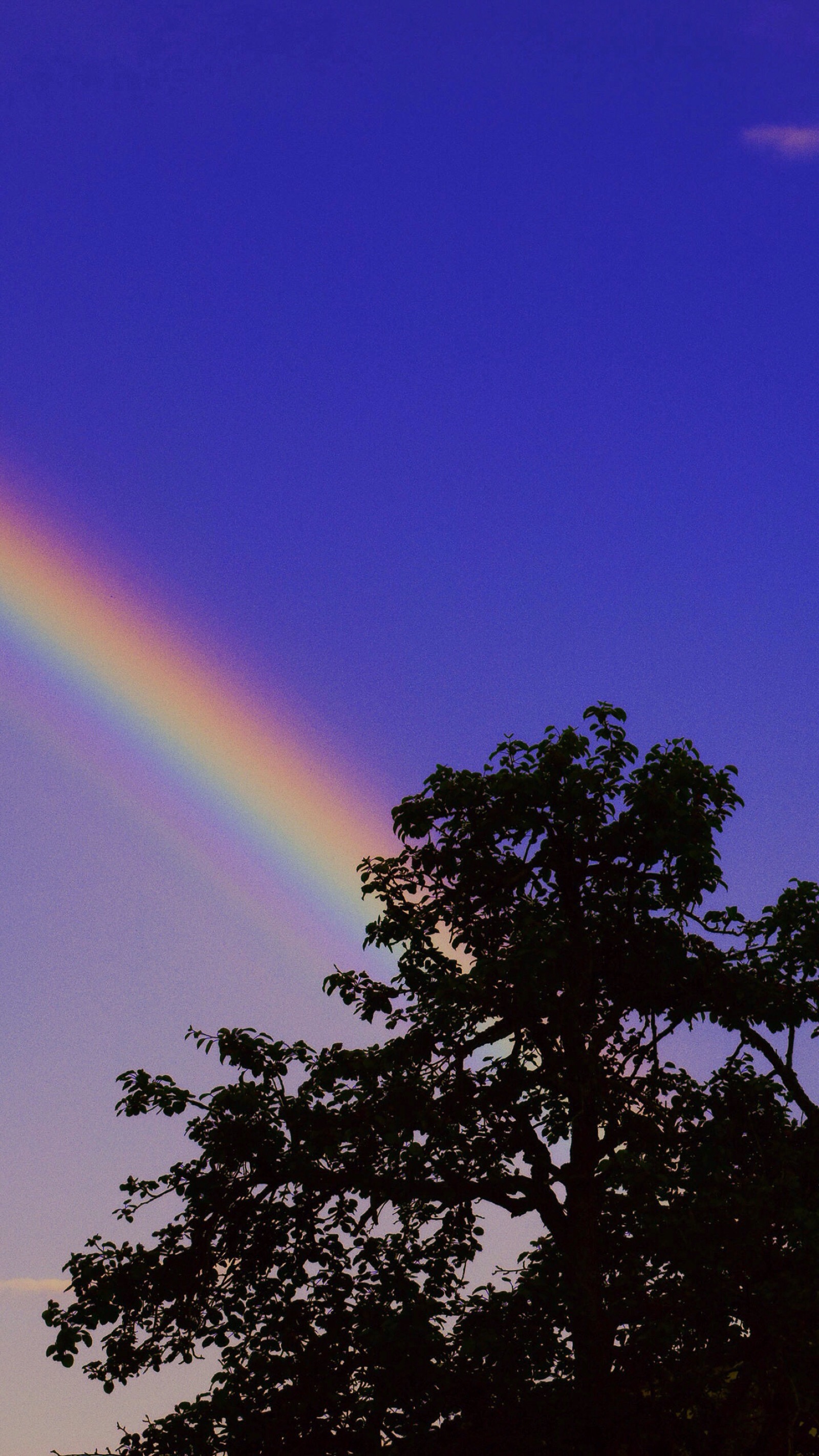 仙气彩虹背景图图片