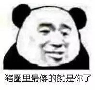 聊天不能缺表情包