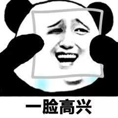 斗图必备表情包熊猫头遮脸表情包