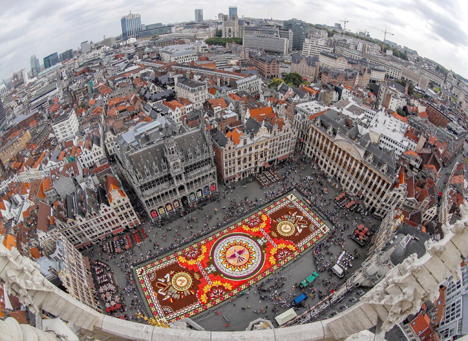 布鲁塞尔大广场铺设一幅巨型「鲜花地毯」(flower carpet),比利时