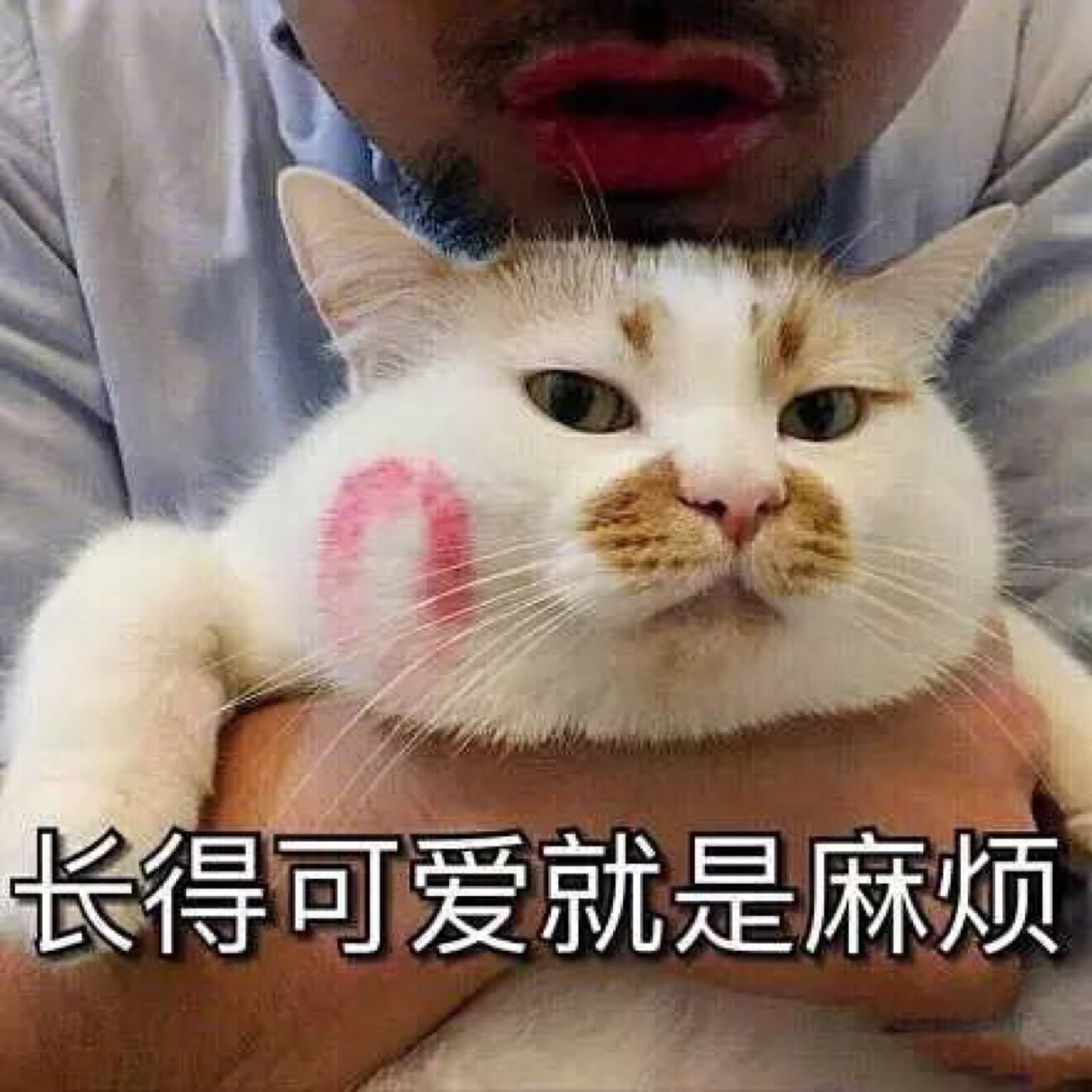 情侣表情包