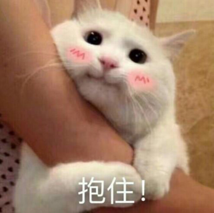 情侣表情包