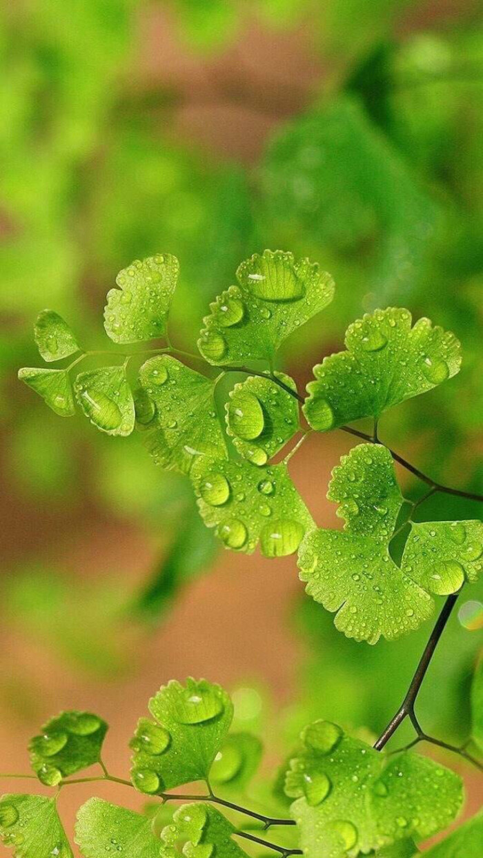 护眼