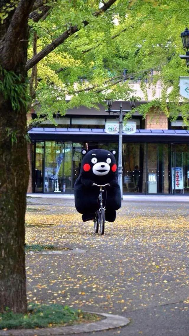 熊本熊 可爱 壁纸 风景