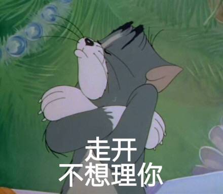 表情包[走开 不想理你]