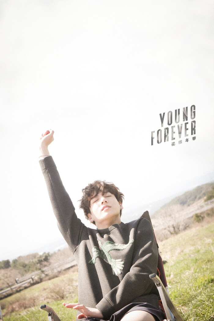 jungkook 田柾国 bts 防弹少年团 花样年华young forever