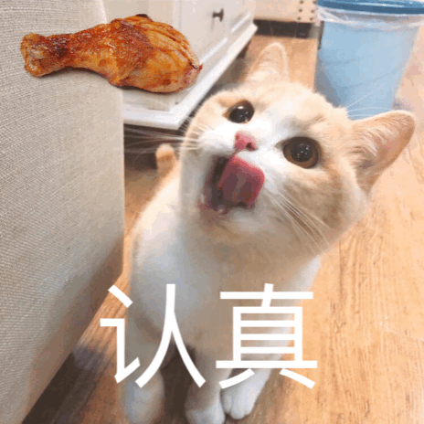 猫咪表情包