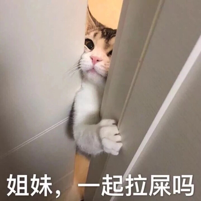拉屎