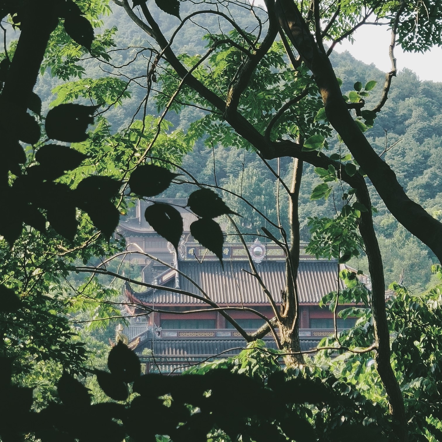 杭州 灵隐