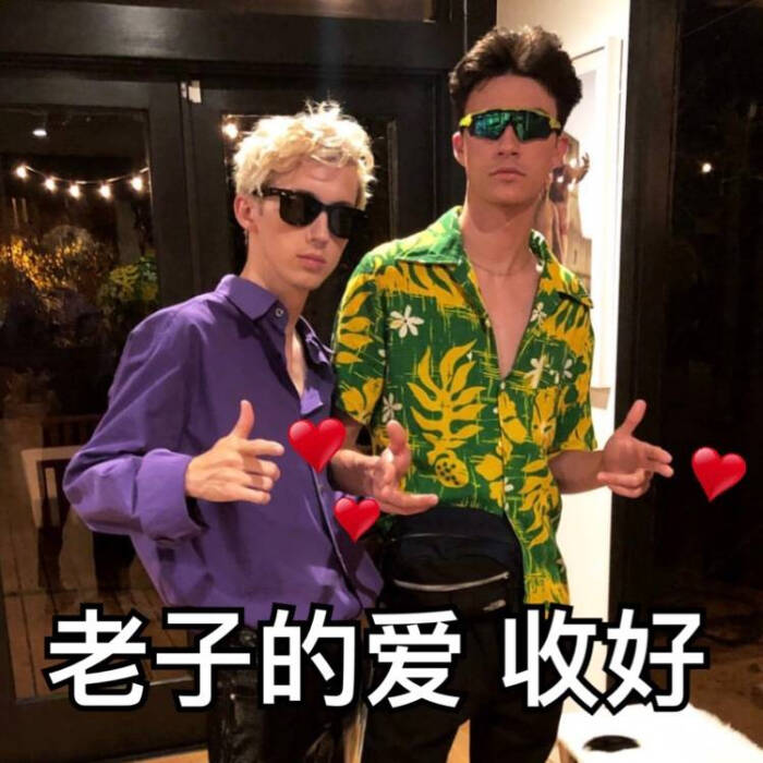 戳爷ttoyesivan特洛伊希文近期表情自截表情有枯枝包树必大图片