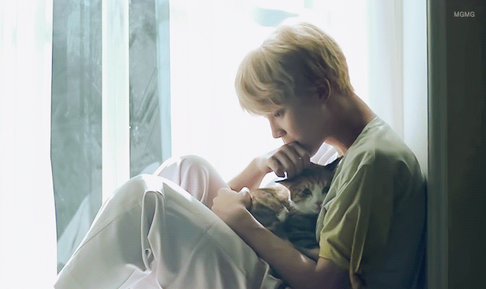 朴智旻 bts 防弹少年团 love yourself 承 "her" 《serendipity》mv