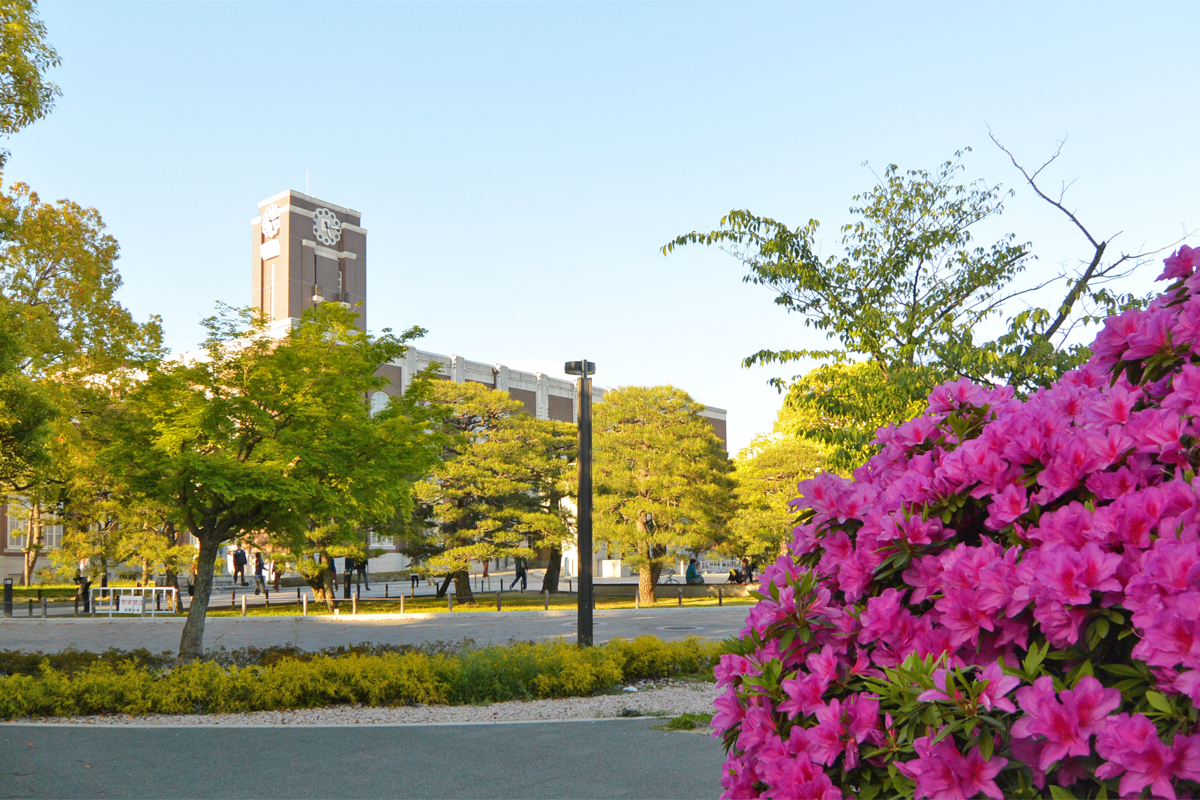 日本的大学校园风景