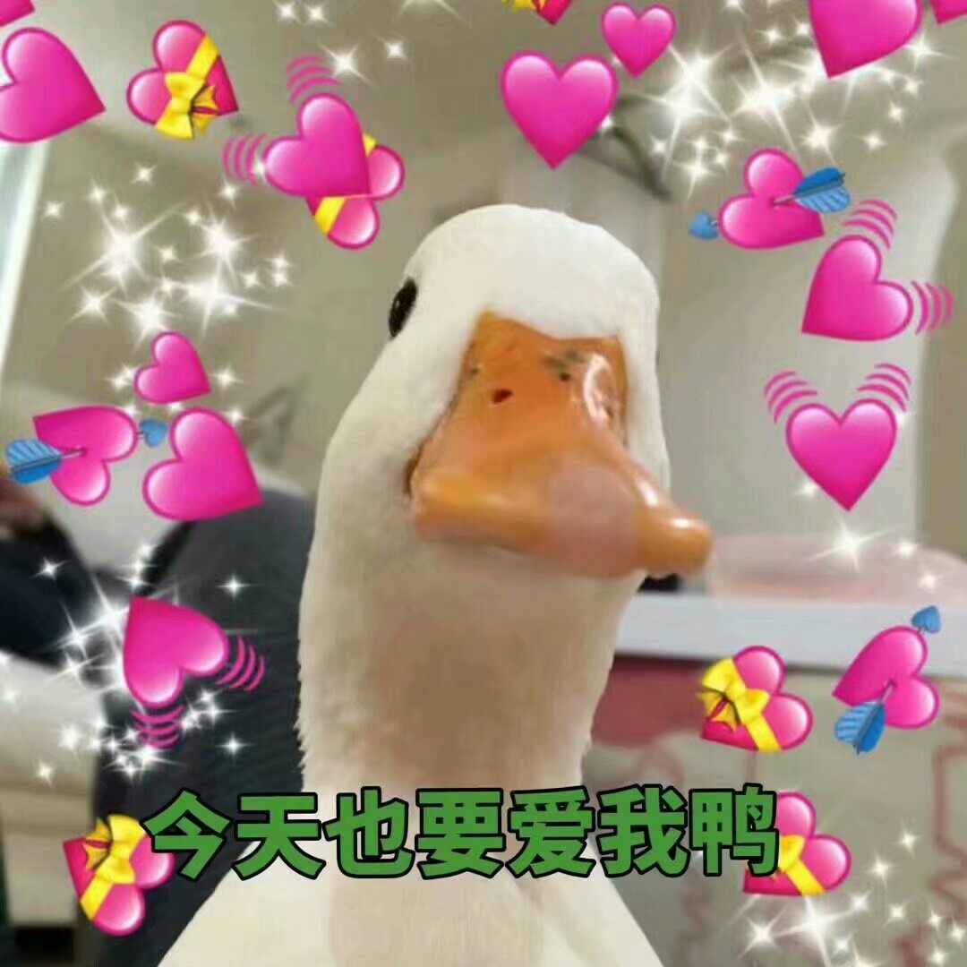 今天也要加油鸭