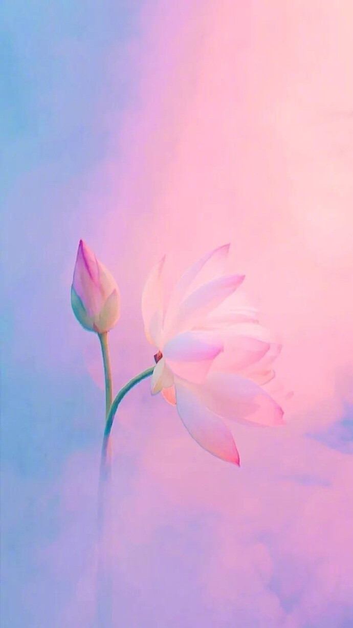 纵然繁华三千,看淡即是云烟,任凭烦恼无数,想开便是晴天.