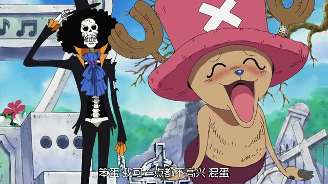 乔巴布鲁克娜美罗宾