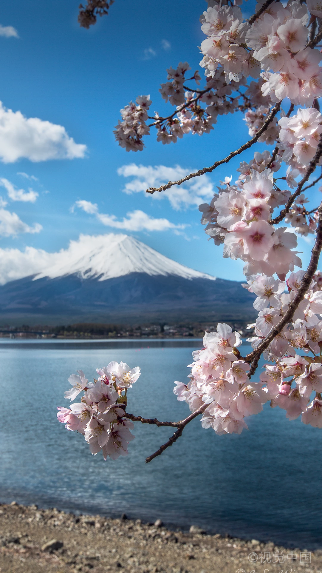 富士山下