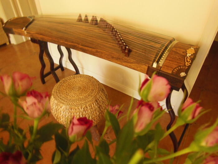 古筝-堆糖,美好生活研究所