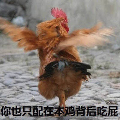 无系列单图战斗力爆喜欢情,老规矩有表表文字图片小搞笑的胆子图库的图片
